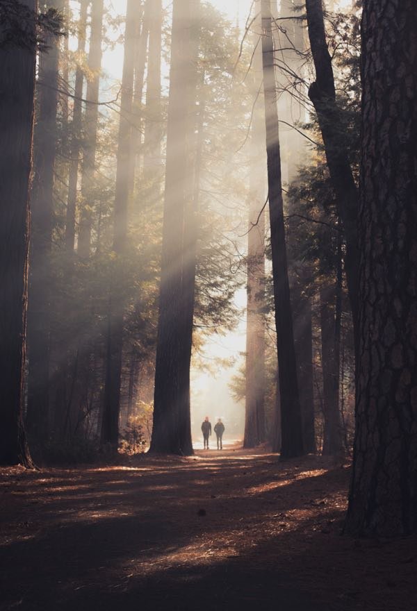 Odio Utsem Nulla Pharetra Diam Sitametnisl Elementum Casey Horner D4TooCIEyF4 Unsplash